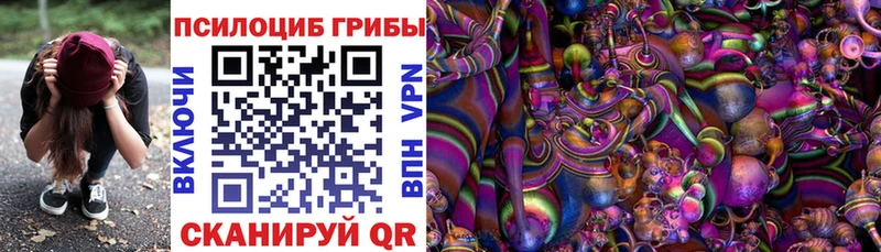 Псилоцибиновые грибы GOLDEN TEACHER  где купить наркоту  мега зеркало  Жуковский 