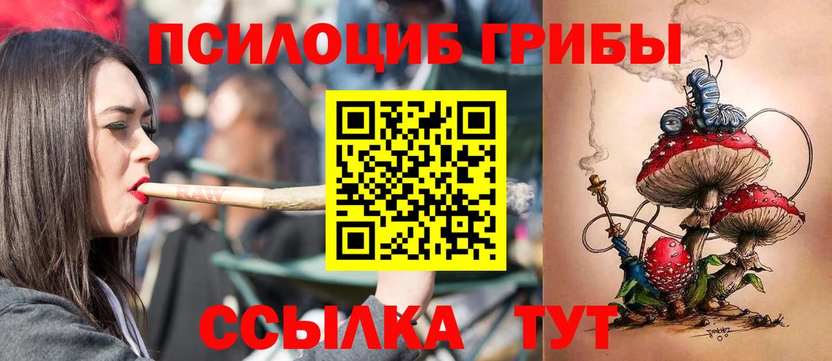Галлюциногенные грибы Cubensis  Вход с VPN  Жуковский 