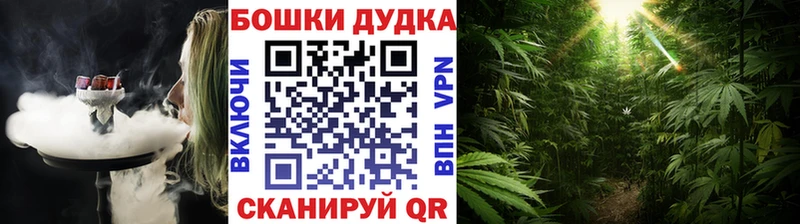 Шишки марихуана семена  Жуковский 