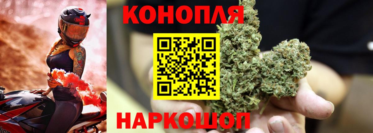 Бошки Шишки MAZAR Жуковский